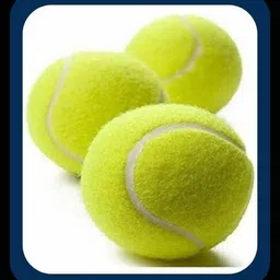 jai shri New-New-Tennis ball _150Pack of 6 Tennis Ball-picture-23