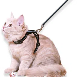 buraq Reflective Cat Harness with Leash Set for Walking , Escape Proof Cat Harness & Leash-picture-21
