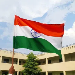 ivillage Indian National Flag Rectangle Outdoor Flag-picture-15
