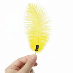 chayanvi Pack of 100 Decorative Feathers-picture-15