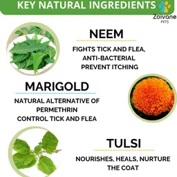 zoivane Tick and Fleas Powder for cat and Dog - 150 Gms Tick and Fleas Powder for cat and Dog - 150 Gms Cologne image 2