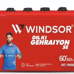 windsor WS-19000 Tubular Inverter Battery-picture-27