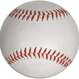 trubilogy 1 Baseball-picture-22