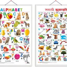go woo Set of 2 Alphabet and Marathi Varnamala (Marathi) Early Learning Educational Charts for Kids | 20"X30" inch |Non-Tearable and Waterproof | Double Sided Laminated | Perfect for Homeschooling, Kindergarten and Nursery Students Paper Print-picture-10