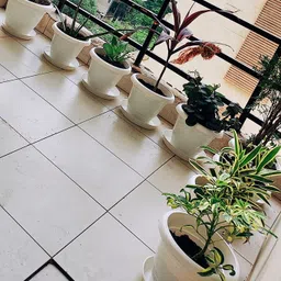 varshney gardening 9" Plate for Flower Pots/Plant Containers/Planter Pot/Gamla Water Drip Plate Plant Container Set image 4