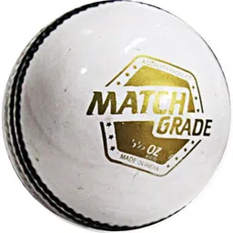 dsc Match Grade Cricket Leather Ball-picture-33