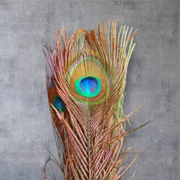 vrindmart Pack of 3 Decorative Feathers image 3