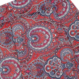 Alvaro Castagnino Red & Blue Paisley Printed Cravat Tie & Pocket Square image 2