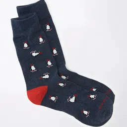 AMERICAN EAGLE OUTFITTERS Men Patterned Calf Length Socks-image-80