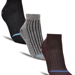 Dollar Socks Men Pack Of 3 Striped Cotton Ankle-Length Socks-picture-49