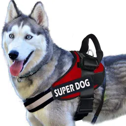cocker No Pull Dog Harness Adjustable Reflective Comfortable Dog Standard Harness-picture-15