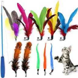 qpets 11 Piece Cat Toy Set with Retractable Wands and Feather Worm Toys Fiber Fetch Toy, Stick For Cat-picture-28