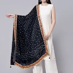 Aditi Wasan Bandhani Printed Chiffon Dupatta-picture-15