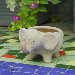 swadeh White Mini Elephant Clay Planter-picture-27