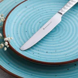 wonderchef Roma Stainless Steel Table Knife Set image 5