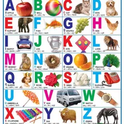 janil Early Learning Educational Charts, Look and Learn Wall Chart for Kids, Number, Alphabet, Animals, Fruits, Vegetable, Table & Color Shapes | Paper Print Fine Art Print image 2