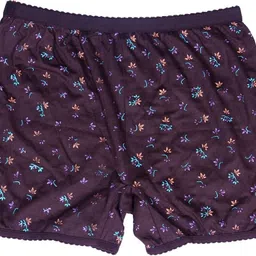 padma Pack of 3 Women Hipster Multicolor Panty image 5