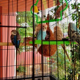 zenrise Arch style coir bird nest for sparrow and pet Bird House image 3