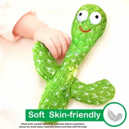 nyvaas cactus image 2