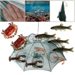 dfn 8 HOLE UMBRELLA FISHING NET TRAP 1 PIECE, CATCH BAIT, SHRIMP, PRAWNS Aquarium Fish Net-picture-25