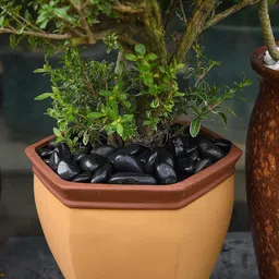 scroll store SS002 Polished Round Rock Stone image 4