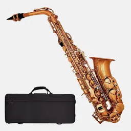 Gold Saxophone KAD-SAX-G Alto Saxophone-image-53