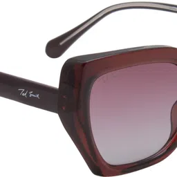 ted smith UV Protection Cat-eye Sunglasses (51) image 4