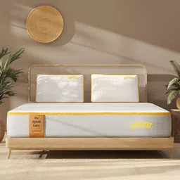 SleepyCat Hybrid Latex Orthopedic 8 inch Thickness Double Size Mattress 72x48x8 Inches-picture-23