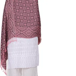 axolotl Printed Viscose Women Multicolor Stole image 4