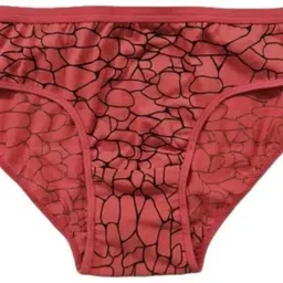 radheempire Pack of 3 Women Hipster Multicolor Panty image 3