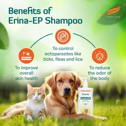 erina-ep Natural Pet Wash – Herbal Blend to Protect from Ticks and Fleas Anti-parasitic, Anti-fungal LEMON AND ALOVERA Dog Shampoo image 5