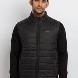Status Quo Men Black Padded Jacket-picture-19