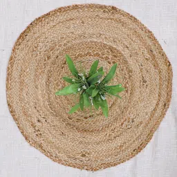 Art Avenue Great Beige Braided Round Jute Rugs-image-23