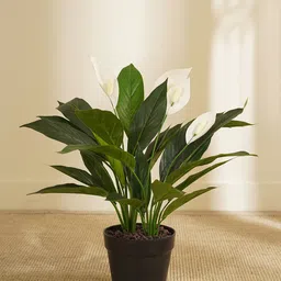 Pure Home and Living Green Artificial Plants With Pots-image-24