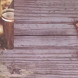 REVEXO Black & Brown 6 Pieces Printed Rectangle Heat-Resistant Table Placemats image 5