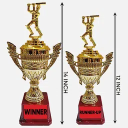 bareezé pure Trophy For Cricket Winner ,Runner-up, Man of the Match, Best Batsman,Best Bowler Trophy image 2
