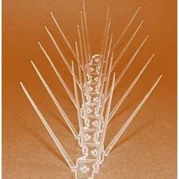 yasheshwi store Bird Spike image 2