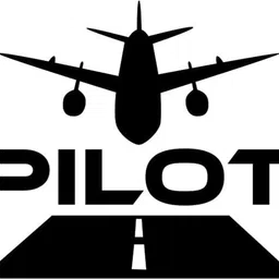 xskin Sticker & Decal for Car & Bike-picture-32