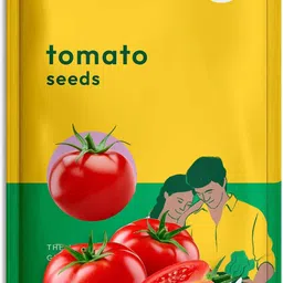ugaoo Cherry Tomato Vegetable Seed image 1