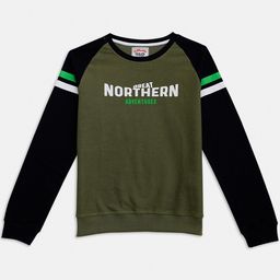 R&B Boys Green Printed Sweatshirt-picture-19