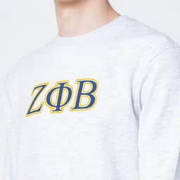 Red Tape Men Grey Printed Sweatshirt image 4