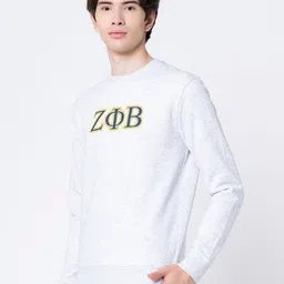 Red Tape Men Grey Printed Sweatshirt image 5