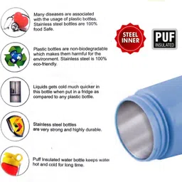 pogon Princess PUF Insulated Water Bottle for Kids 450 ml Water Bottle image 4