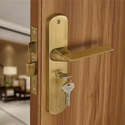 lapo Zinc Alloy, Brass Matte Handlesets-picture-11