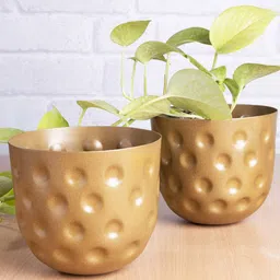 Homesake Set of 2 Gold-Toned Belly Bucket Planters-image-8