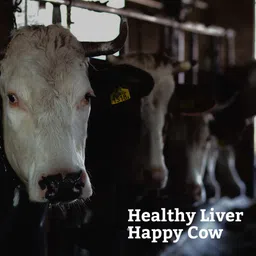 dozliv Liver & Digestive Tonic For Cattle, Cow, Buffalo, Goat & Farm Animals Pet Health Supplements image 2