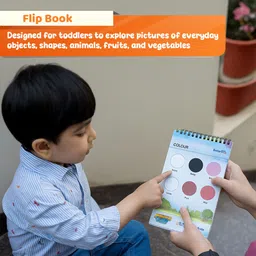 brainy bear Montessori Educational Toys– Brain & Skill Develop Activity for Kids 16 Months image 3