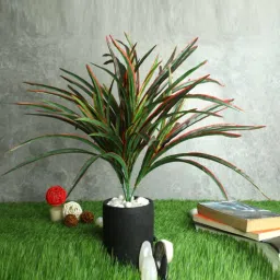casacraft from pepperfry Red Polyester Artificial Yucca Plant Without Pot-picture-15