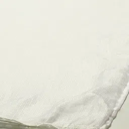 Rangriti Taping Border Dupatta image 3