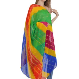 Exotic India Striped Chiffon Dupatta image 2